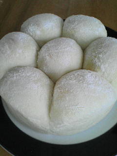 ����n�C�W�p��