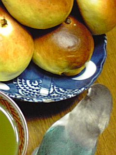 �~����ς�