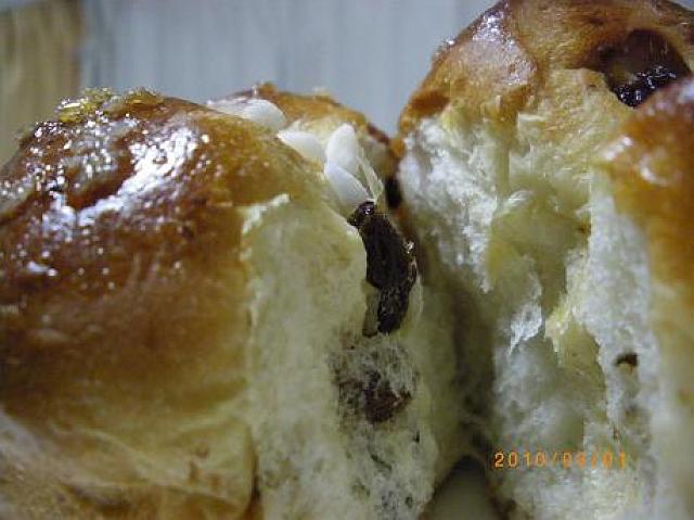 �z�[���Z���^�[�J�C���Y�̃��[�Y���p��