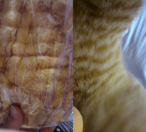 �ǂ������p���ł��傤�B