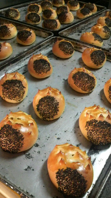 �����@�������������������`����