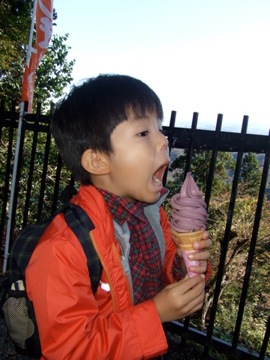 �����R�̌����̓\�t�g