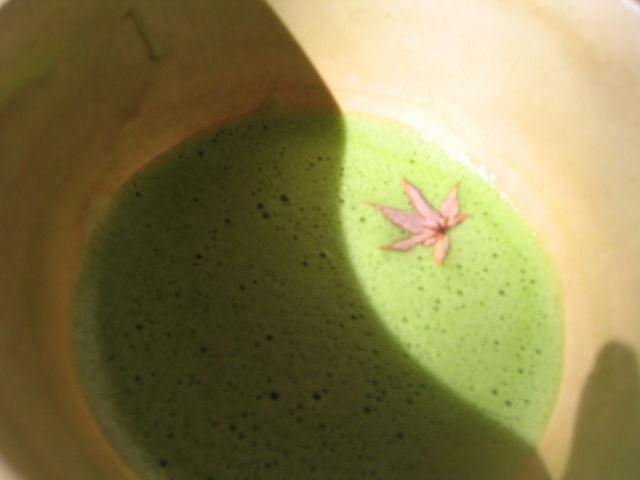 �����ɕ����ԍg�t