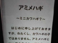 �J���n�M�̐Ԃ����H