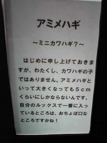 �J���n�M�̐Ԃ����H