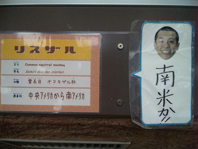 �D�y�~�R�������̃��X�U���W��