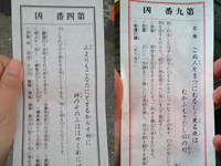 ���N�̏��w�ɂ�