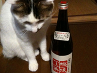 ��������������