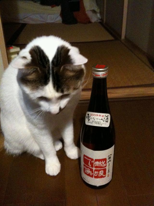 ��������������