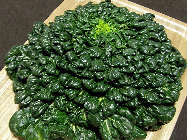 �S�O����