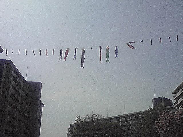 �c�n�����̊���