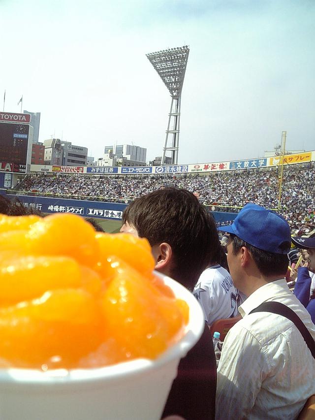 ��Ɩ싅�Ƃ݂���X