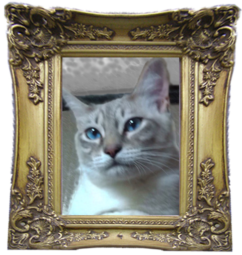 �����̎��Ƃ̔L�ł�