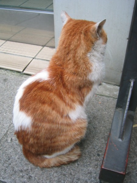 ���Ԃ�Ȃ����l