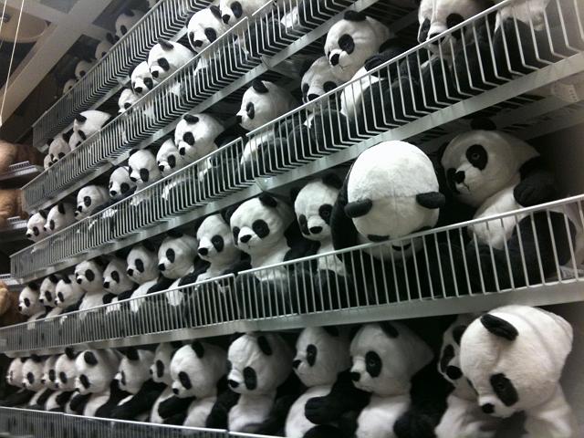 �����p���_