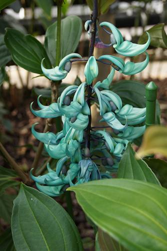 �A��de��Δ���`