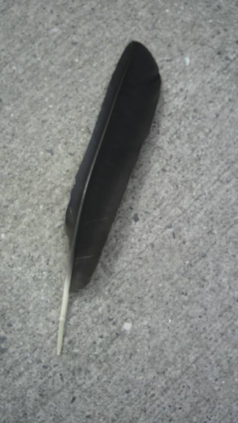 �����������H