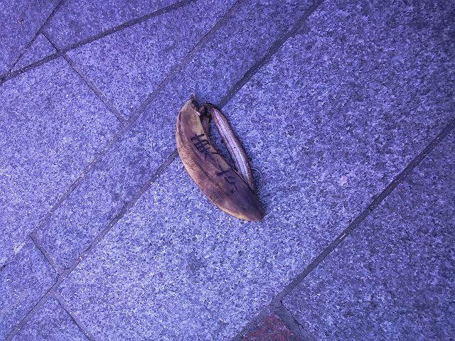 ���A�������o�i�i