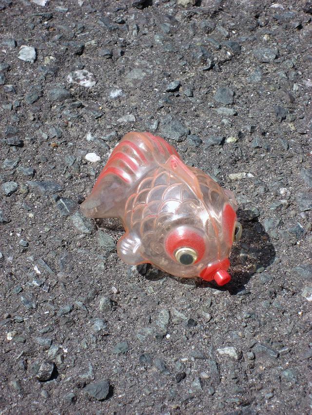 �ߏ��������