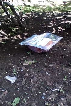 ���̋������ł����B