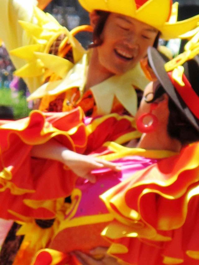 �X�v�����O�J�[�j�o��