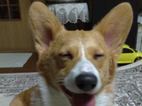 �΂��R�������