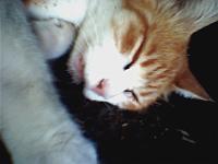 �j�R�j�R�L�l