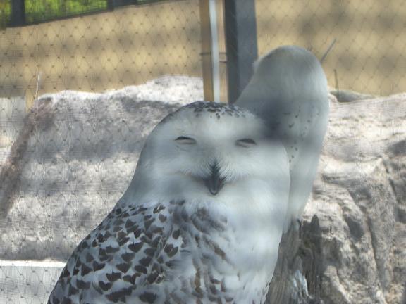 ���{��������