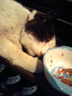 �����ǂ�