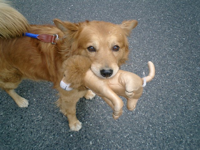 ���U�����イ�B