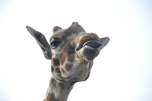 �؂�[�[�[�[�[��