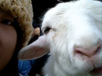 �€��2�V���b�g