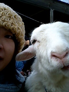 �€��2�V���b�g