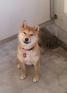 �����Ă��܂���