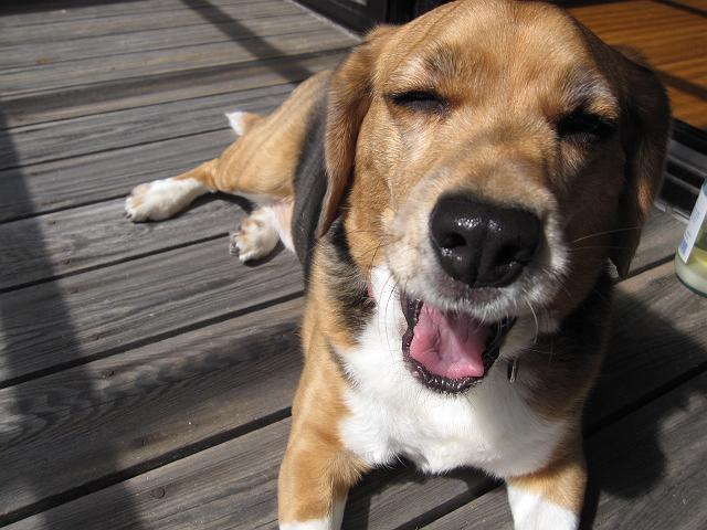 �����̎q�͐��E������\�[�X�͉�