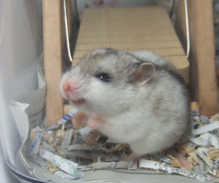 �������ł�