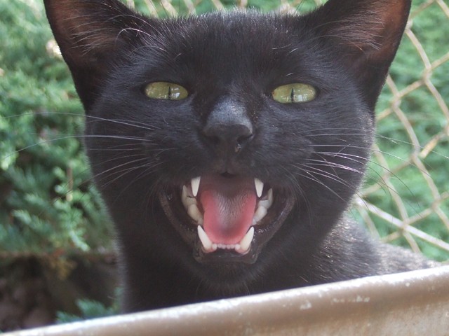 �������D�_