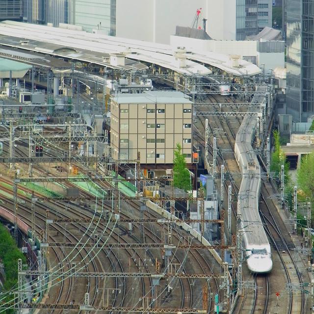 �J���m�n�V���ɂႮ�ɂ�