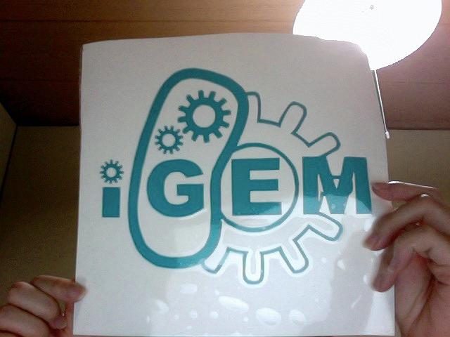 ����X�e�b�J�[