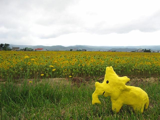 �ق���������