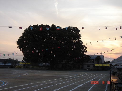 �^����̌�