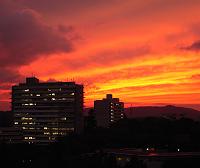 ���ꂼ�[�Ă�