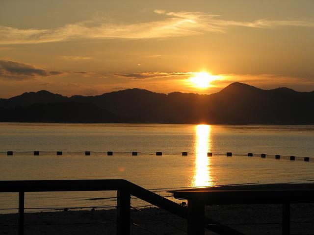 ���J���[�Ă�