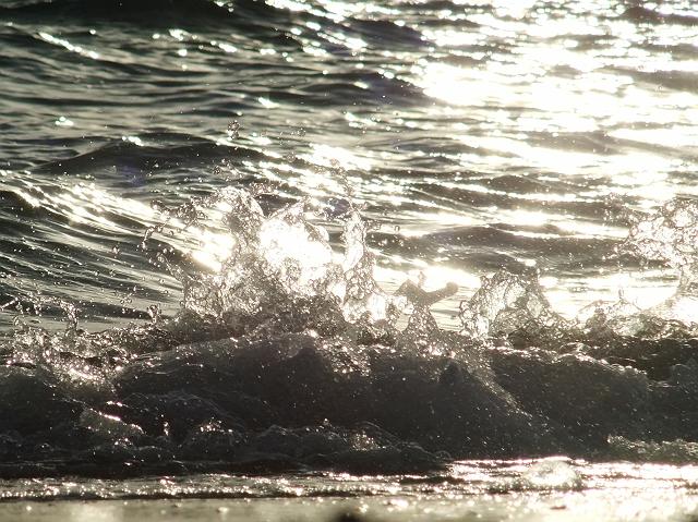 ���͂͂��ӂ�