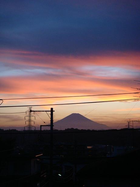 �[�Ă��Ɩ��ƕx�m�R