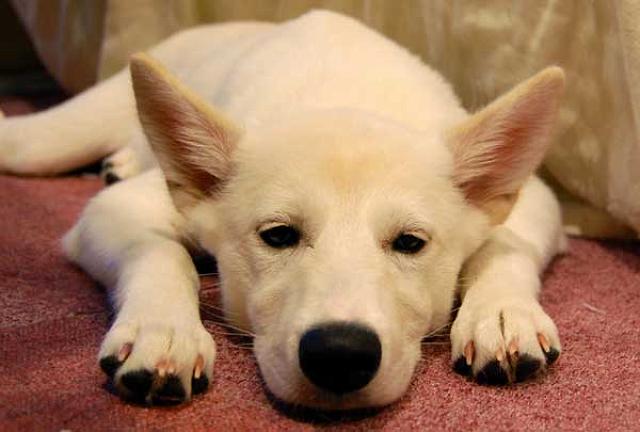 �J���������ɂ�����