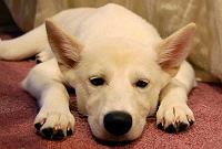 �J���������ɂ�����