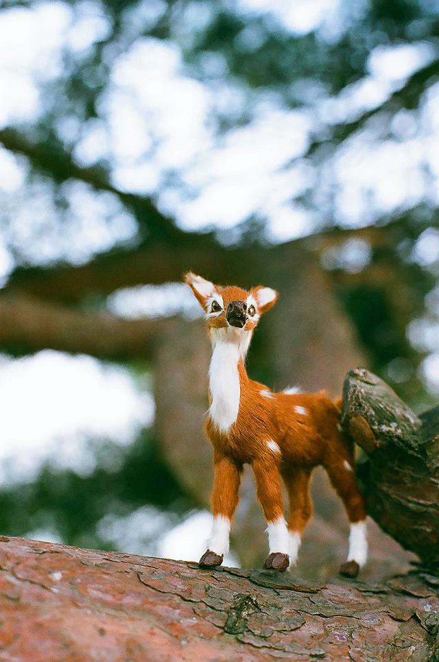 �m�������o���r