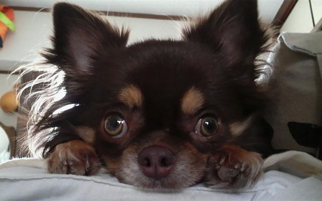 �X�|�b�g���C�g�𗁂тāE�E