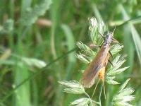 �o�b�^���ۂ���̋C����